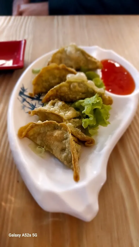 Gyozas Légumes Et Poulet